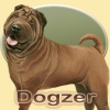 Dreamzer - Dogzer dog breeder 
