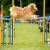 Agility is Awesome!
