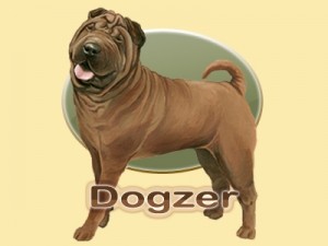 Welcome to Dogzer, the free dog game for all dog fans!
